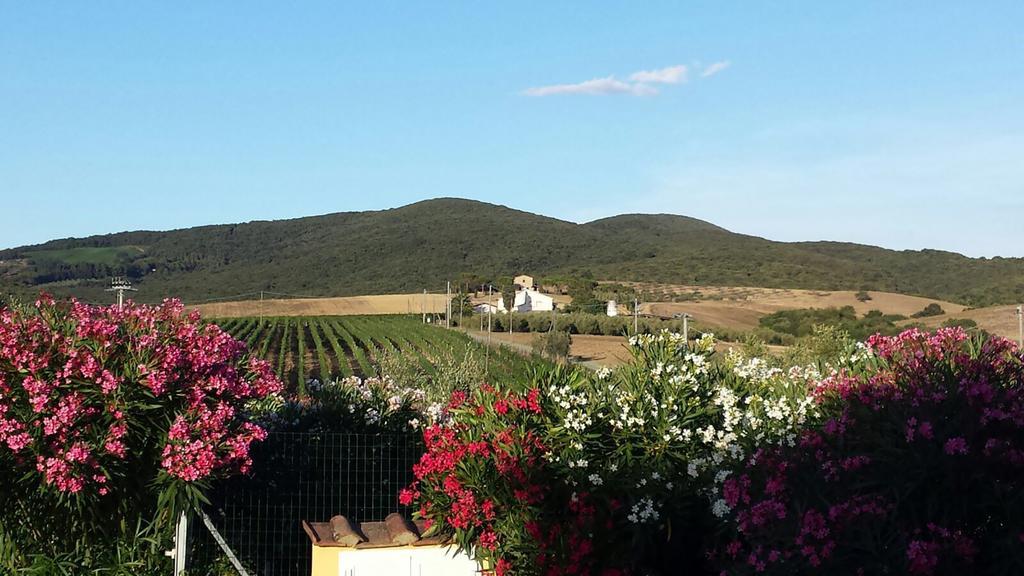 Agriturismo Campoalquattrino Vila Bibbona Exterior foto